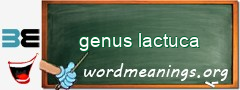 WordMeaning blackboard for genus lactuca